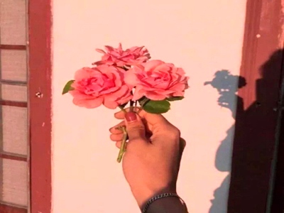 小鲜肉GAY无套,青春性话题引关注，LGBTQ+群体面临挑战-1